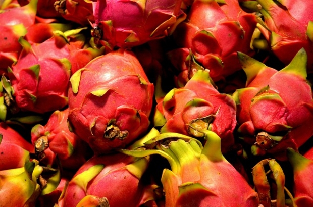 Pitahaya 1