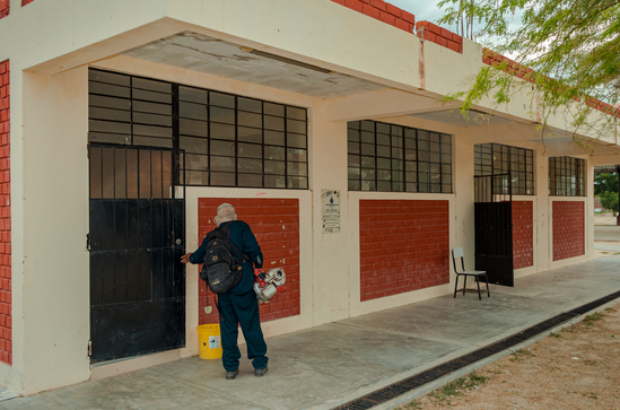 standard_Fumigación contra el zancudo transmisor del dengue en nuestros colegios