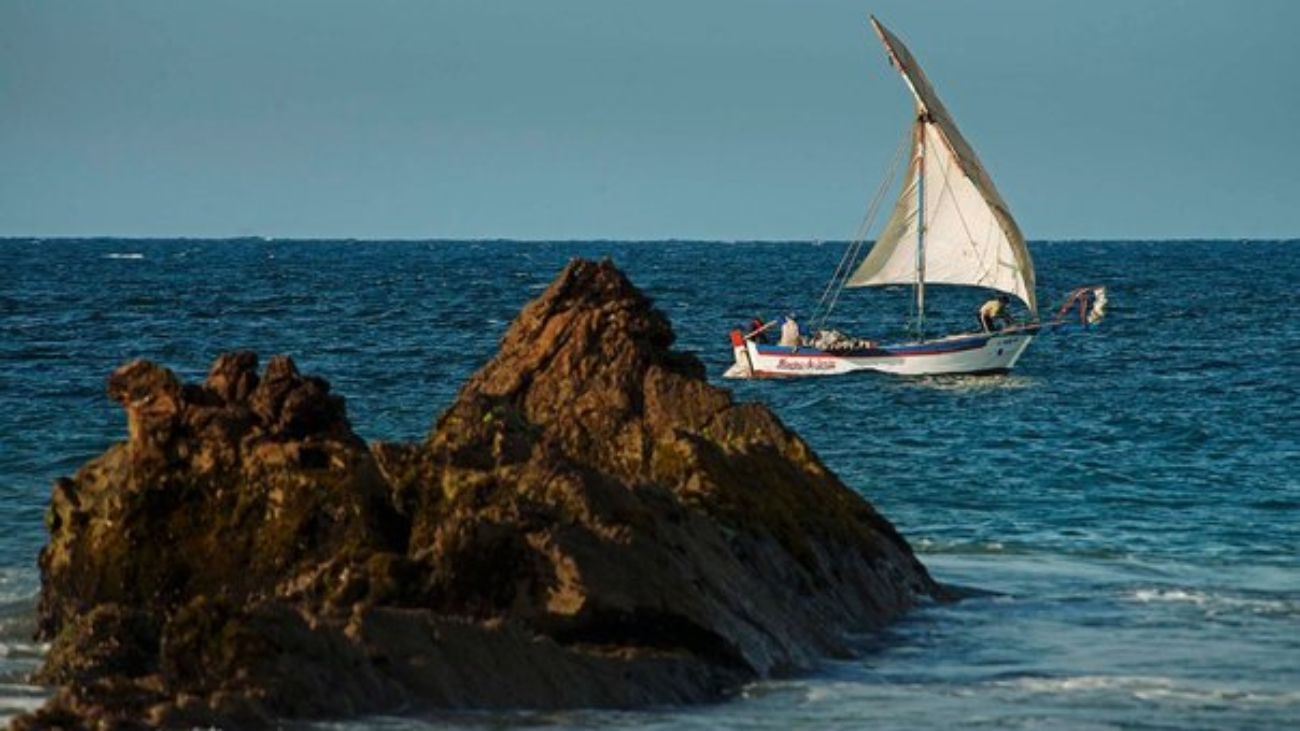 WhatsApp Image 2024-04-26 at 2.55.51 PM (1)