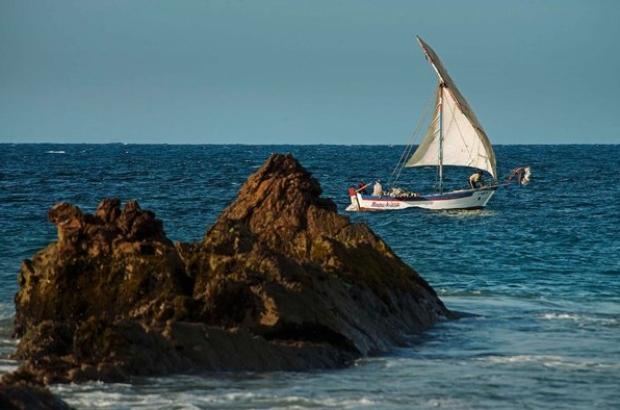 WhatsApp Image 2024-04-26 at 2.55.51 PM (1)