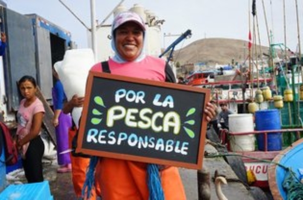 443697748_948492847283750_5620118964778937914_n (1)