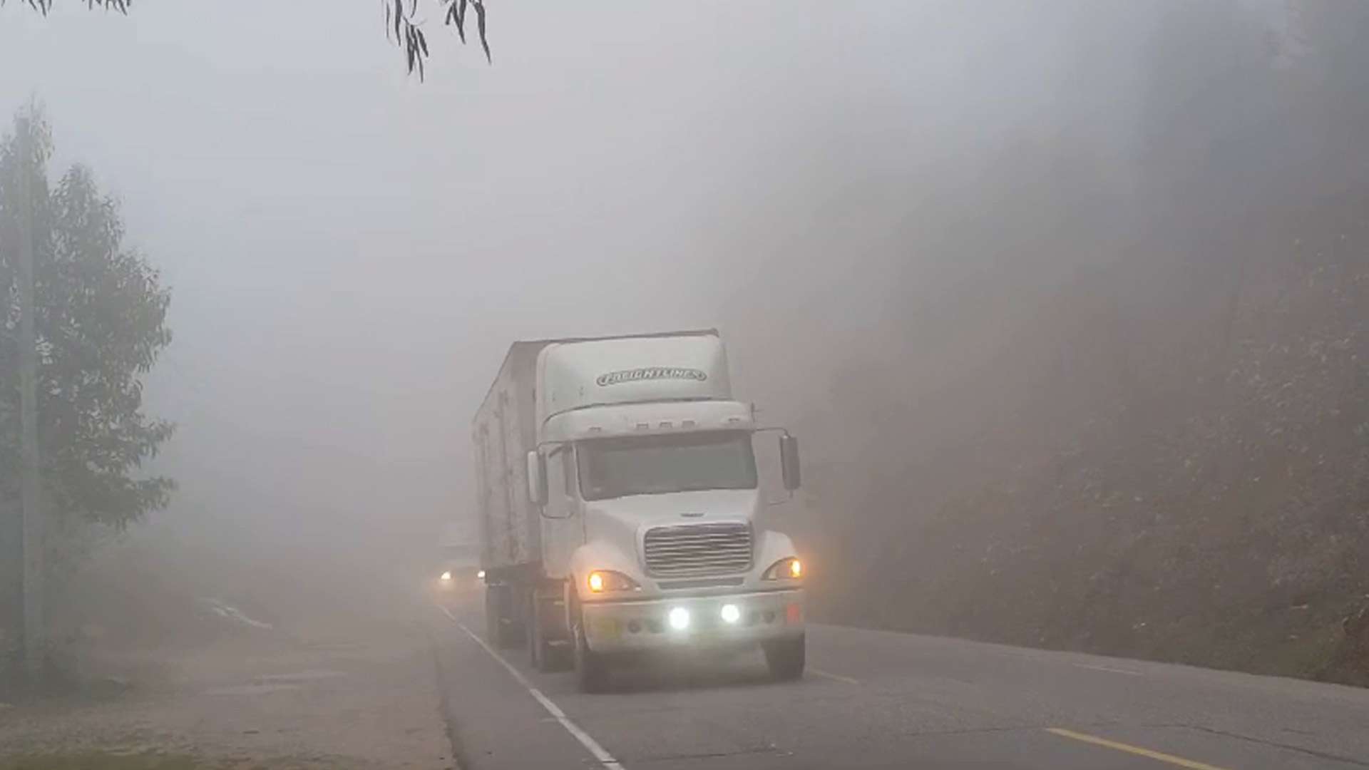 MEDIOS_NEBLINA (1)