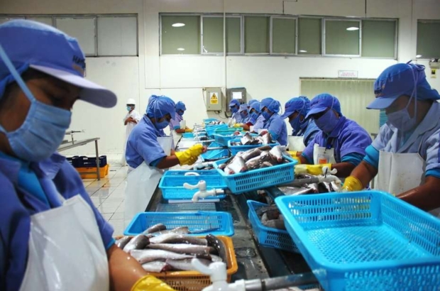 merluza prensa 3 ADEX (1)