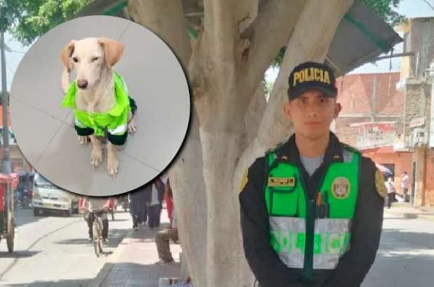 policia-adopta-perrito-callejero-patrullar-calles (1)