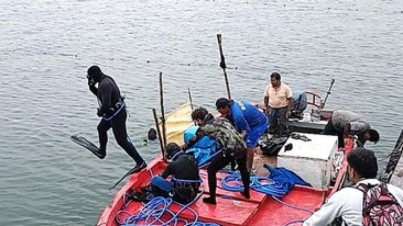 449155284_931411728996428_6835473467241158705_n (1)