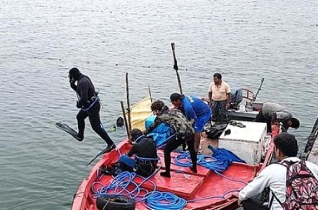 449155284_931411728996428_6835473467241158705_n (1)