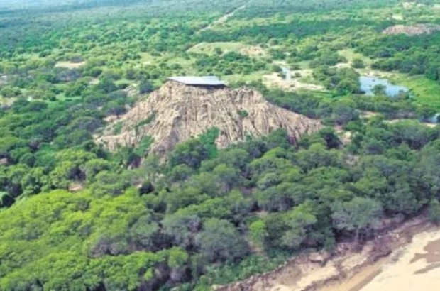 Bosque-de-Pomacc-1-1-696x433 (1)