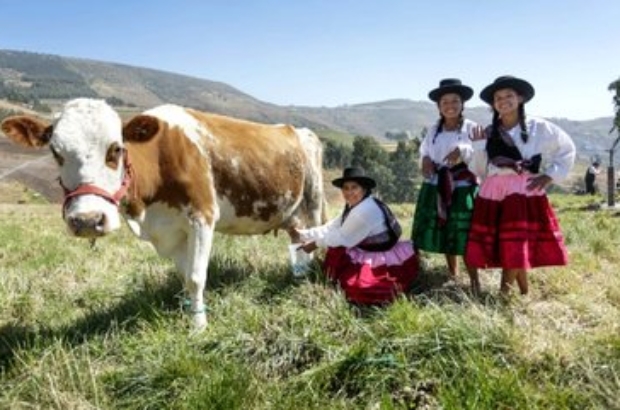 450475037_1029057582434228_2049822868351591660_n (1)