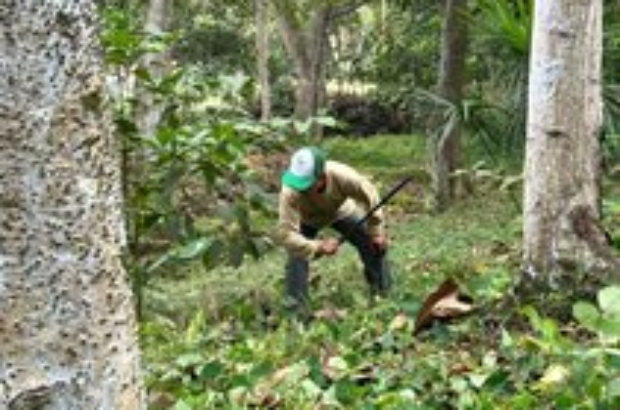 452589357_1040055791334407_4472961334372723853_n (1)