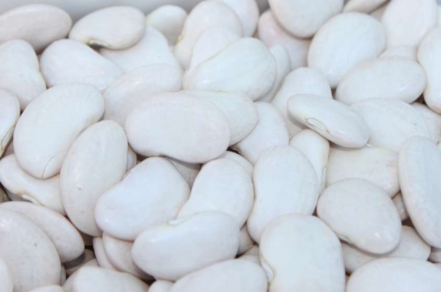 Pallares ADEX prensa 5 (1)