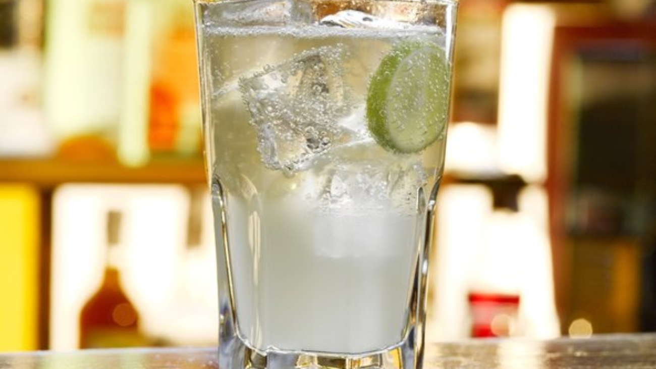 Pisco cóctel ADEX prensa (1)