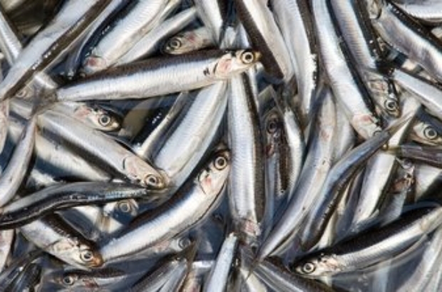 WhatsApp Image 2024-07-02 at 12.51.35 PM (1)