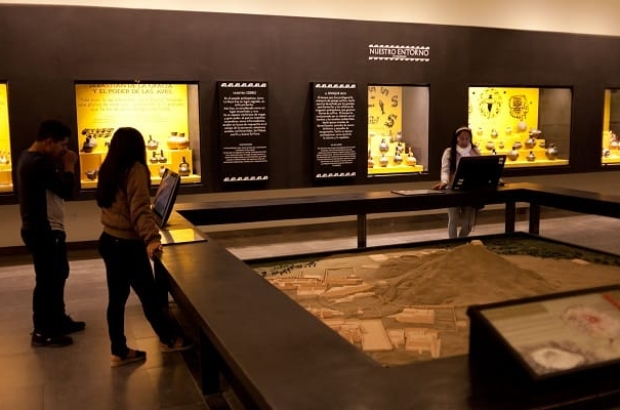 WhatsApp Image 2024-07-19 at 11.51.18 AM