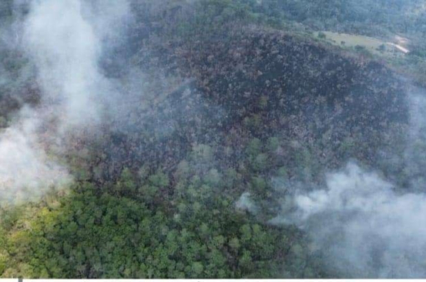 453537405_1044321977574455_8214262935047170851_n (1)