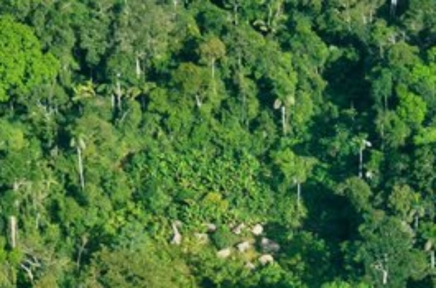 WhatsApp Image 2024-08-23 at 11.18.31 AM (1)