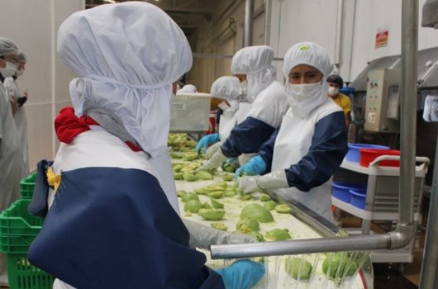 palta adex prensa (1)