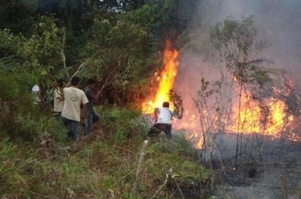 459049712_1073193161354003_3223178947295745044_n (1)