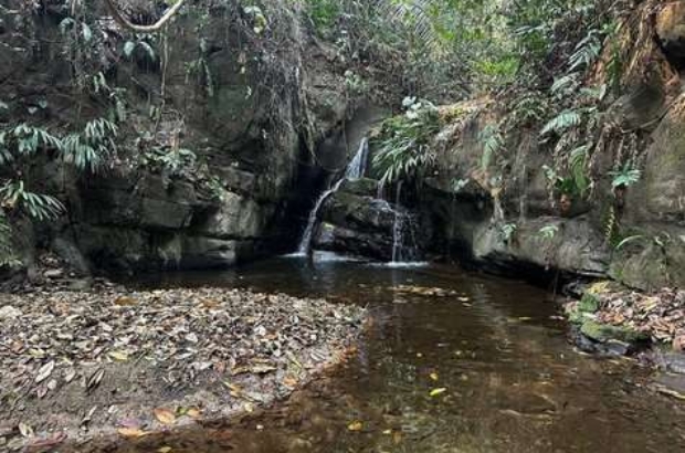 459161248_8809960555702375_8626664712460409486_n (1)