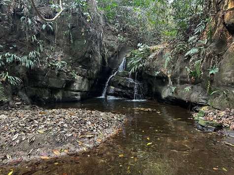 459161248_8809960555702375_8626664712460409486_n (1)