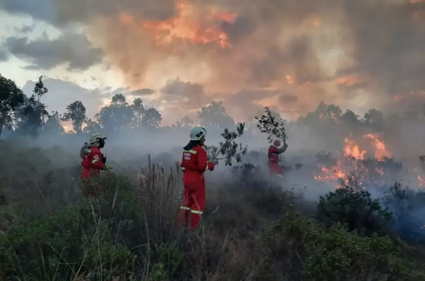 I-PERU-EN-LLAMAS--El-creciente-desafio-de-los-incendios-forestales-II (1)