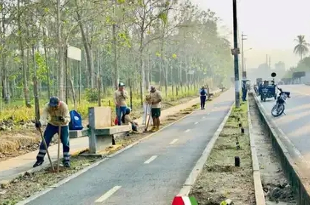 Siembran-410-plantones-en-la-ciclovia-Virgen-Dolorosa_3 (1)