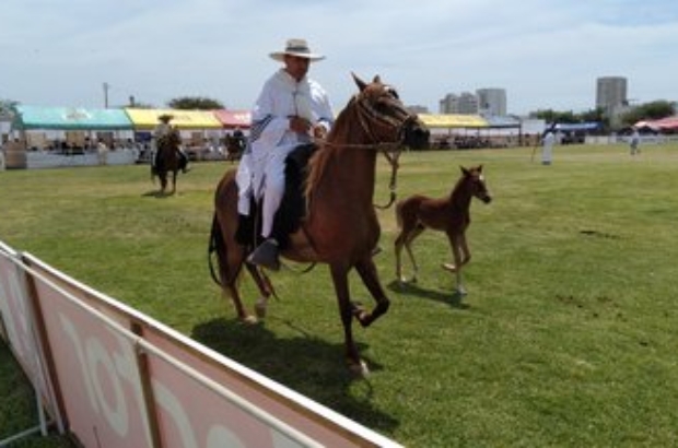 WhatsApp Image 2024-09-02 at 12.40.19 PM (1)