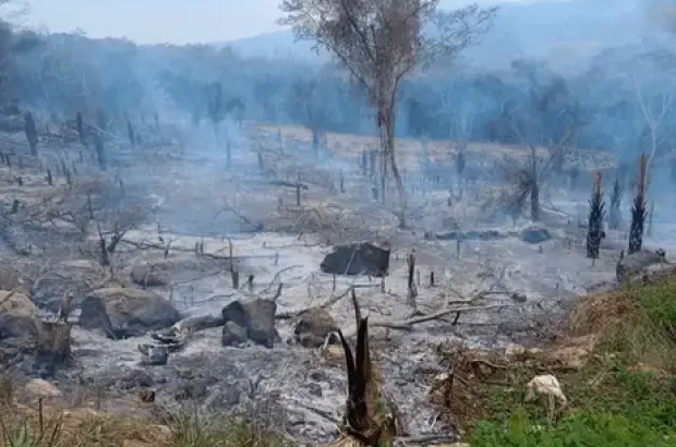 inician-investigacion-contra-dos-presuntos-responsables-de-ocasionar-incendio-en-el-distrito-de-Rumisapa00001 (1)