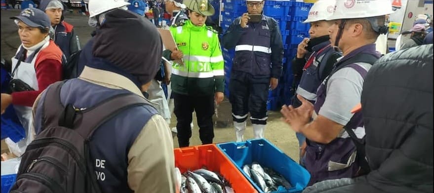 462595515_1151704736527733_4503099684325278264_n (1)