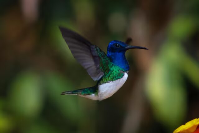 P6MN4N4EXVHB7NGVWQSWFVE5A4