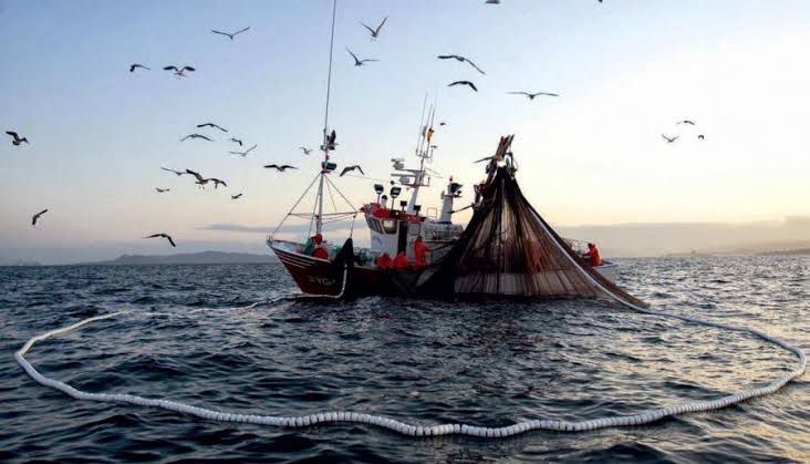 Pesca
