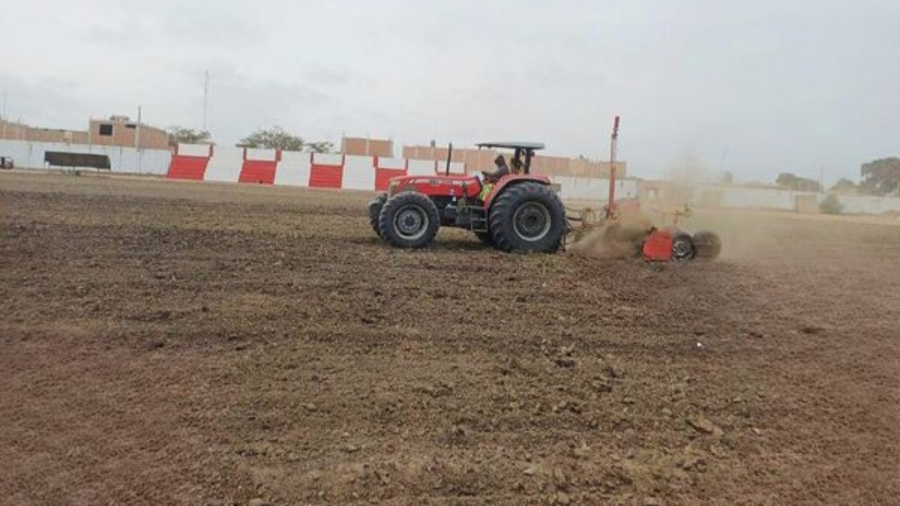sembrado de grass (1)
