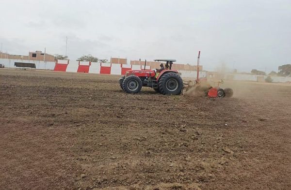 sembrado de grass (1)