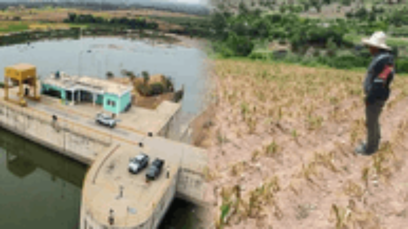 1049772-diseno-sin-titulo (1)