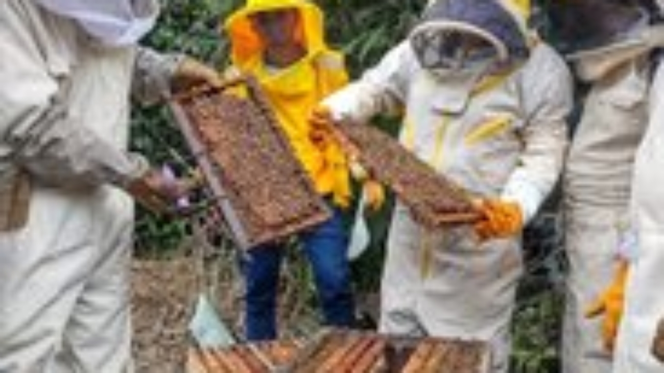 466027850_1124697036203615_7604409436237849614_n (1)