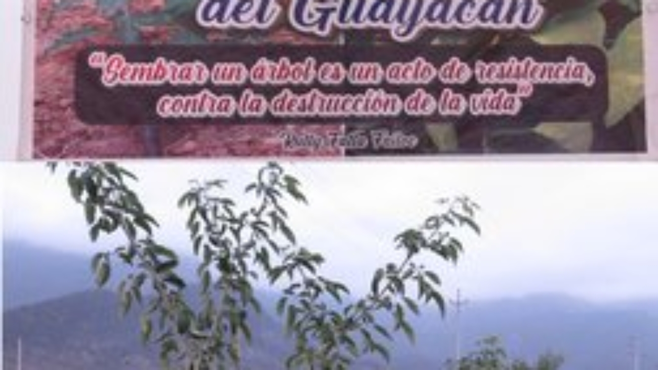 467150677_554592374184518_3316454900597143121_n (1)