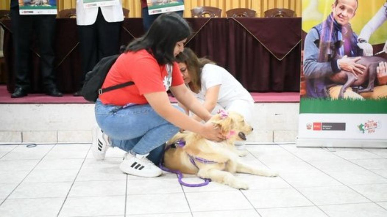 WhatsApp Image 2024-11-07 at 11.43.40 AM (1)