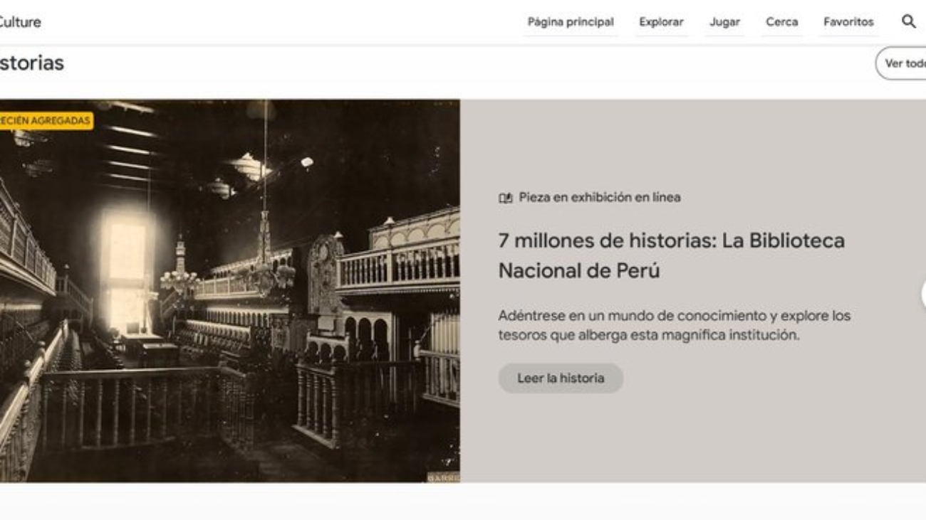 WhatsApp Image 2024-11-15 at 12.36.14 PM (2) (1)