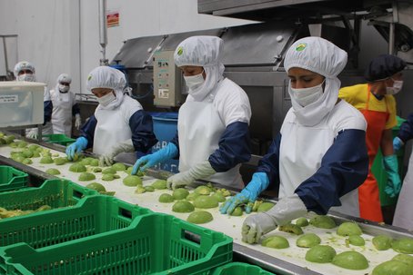 palta ADEX prensa proceso (1)
