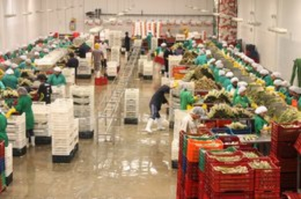 ADEX.agroexportaciones (1)