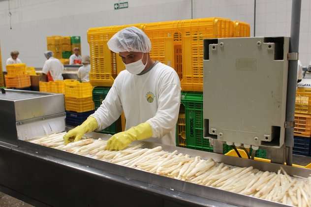 Espárragos prensa adex (2) (1)