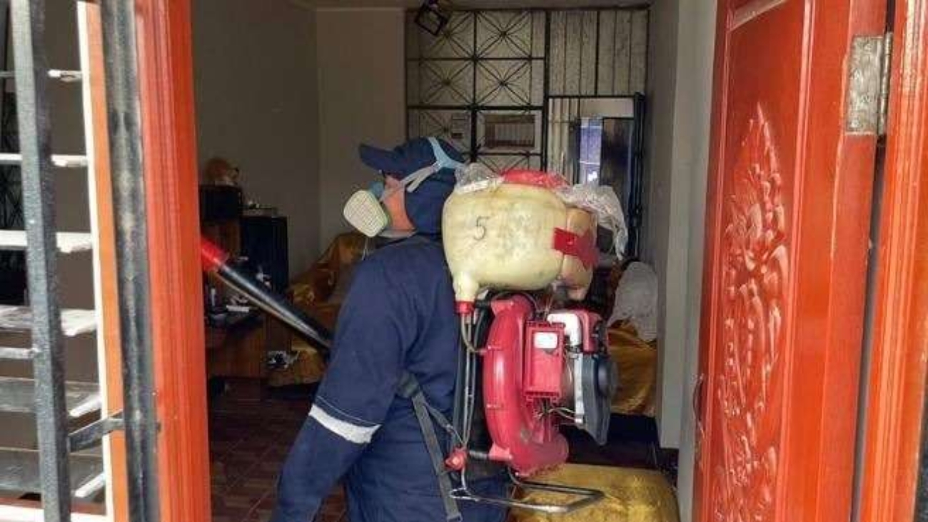 WhatsApp Image 2025-01-28 at 8.31.54 PM (1)