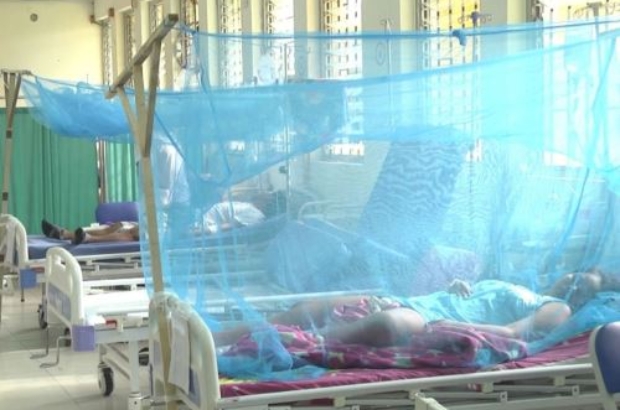 dengue