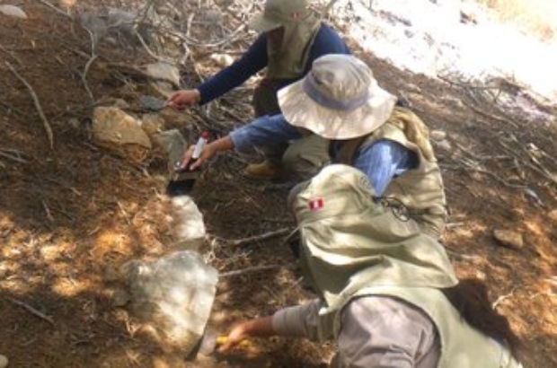 WhatsApp Image 2025-01-30 at 9.42.06 AM (1)