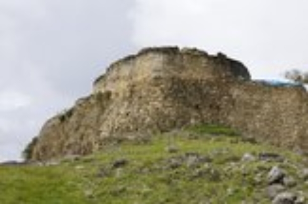 WhatsApp Image 2025-02-02 at 10.02.11 AM (1)