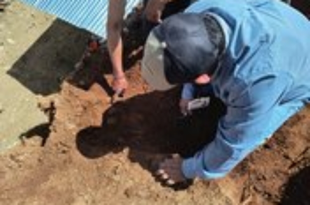 WhatsApp Image 2025-02-16 at 8.49.32 AM (1)