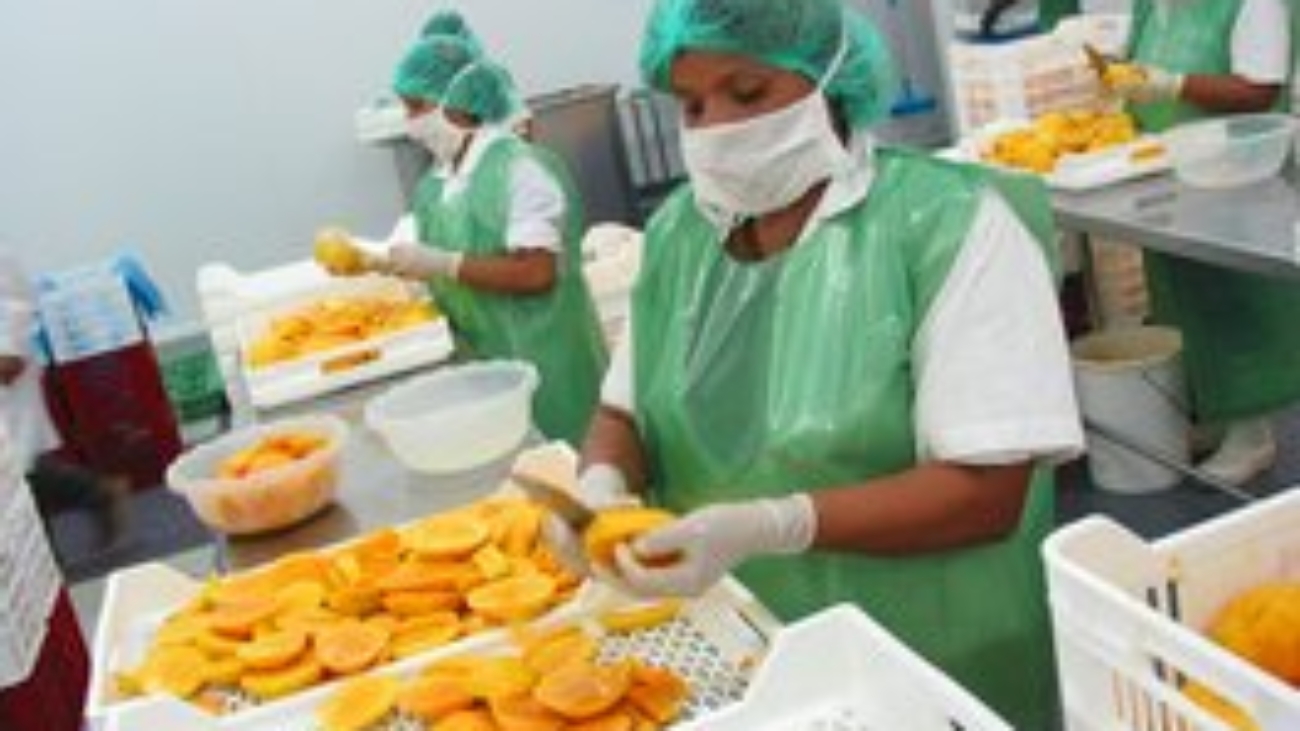 mangos prensa proceso productivo (1)