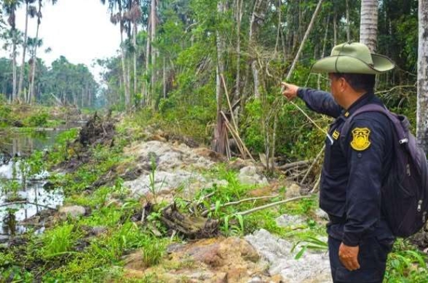 487393531_1231843718822279_6548484104661564684_n (1)