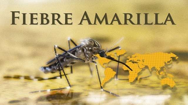 9f48f11e-6ae7-45d8-a4cb-9d25de1a0a02 (1)
