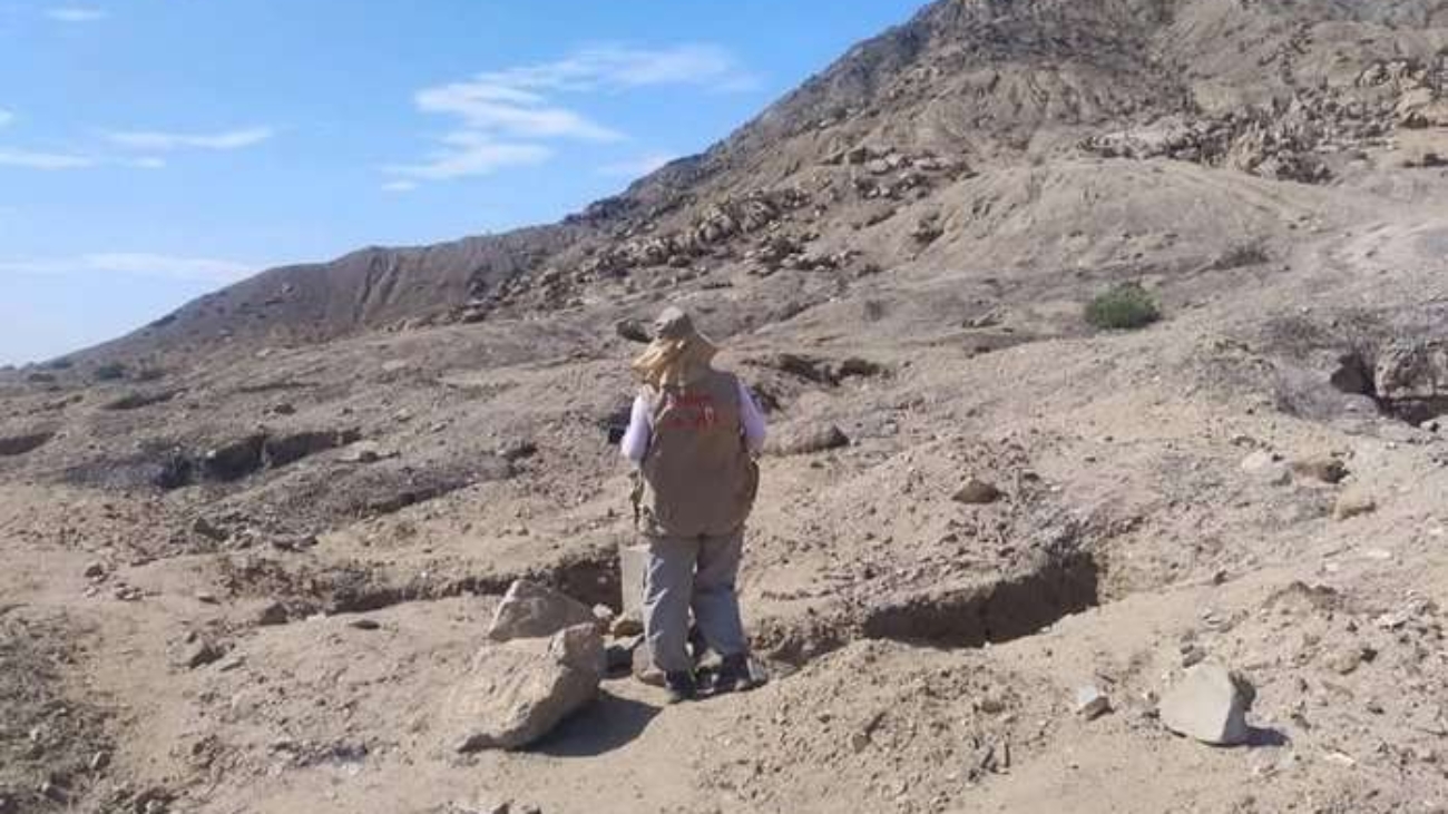 491736861_1307658707599001_4148456824190505251_n (1)