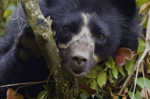 493007755_1258012382872079_4042817309967785899_n (1)